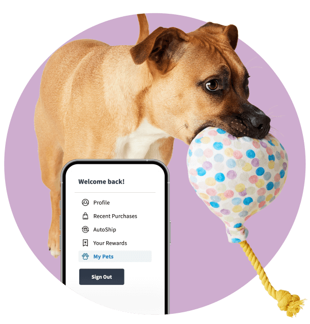 Your Rewards Exclusive Birthday (or Gotcha Day) Gift