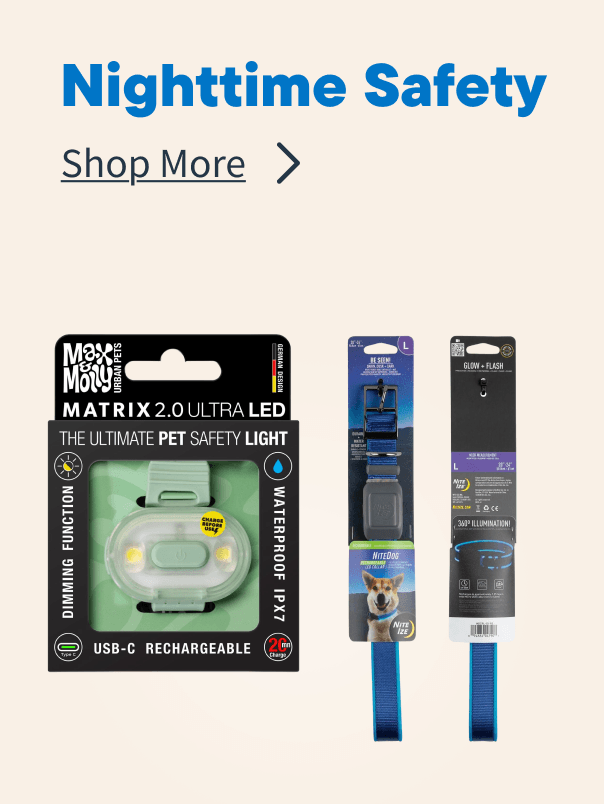 Cold Weather Nightime Safety