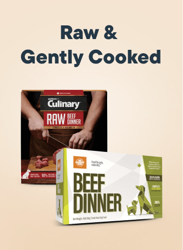 Raw & Gently Cooked