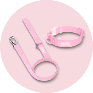 Collars, Leashes & Harnesses