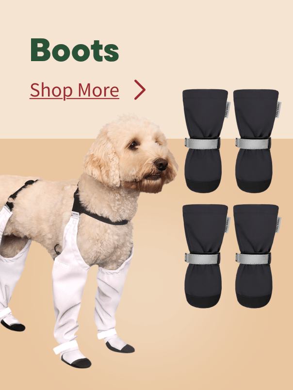 Fall Boots