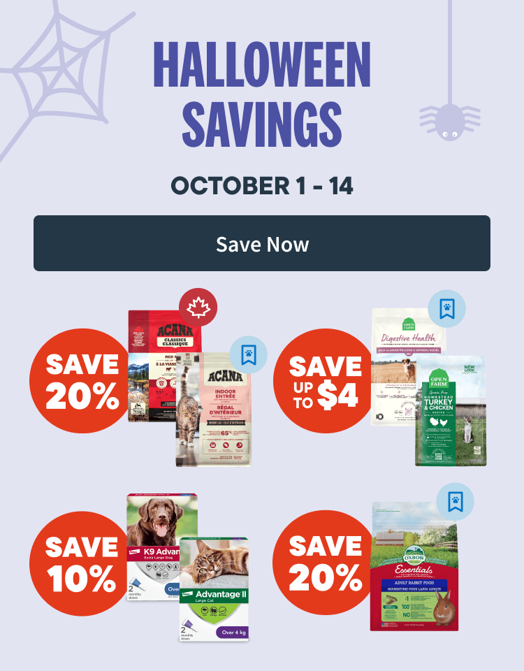 Halloween Savings - October 1 to 14 - Save Now