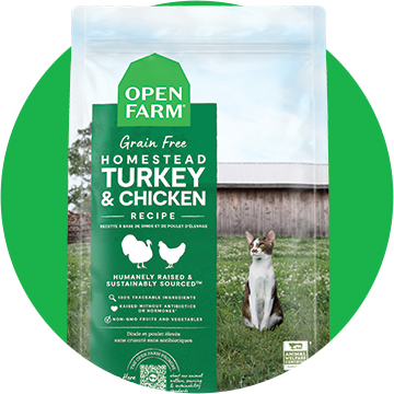 Dry Cat Food