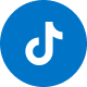Tiktok Icon