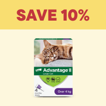 Cat Megamenu Callout 1 - Save 10%