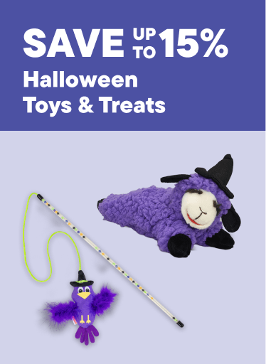 Halloween Toys & Treats – Save Up To 15%