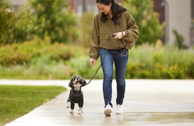 A woman walking her dog outdoors