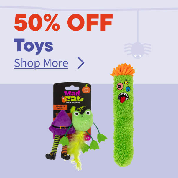 Halloween Toys