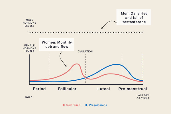 male vs female hormones cycle mapping syncing