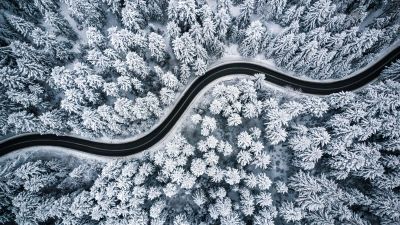 A road winds through a snowy forest