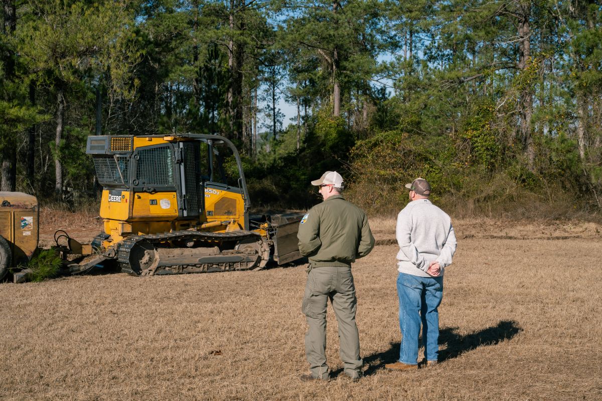 Forestry professionals oversee the planting of loblolly pine on Mitch Cliett's property.