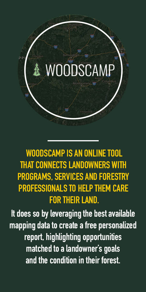 WoodsCamp-Side Bar Image