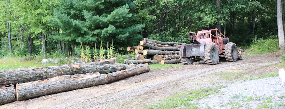 Timber harvest on Susan Benedict's Tree Farm (landowner, PA)