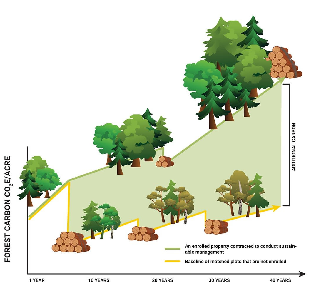 FFCP Infographic-4