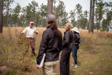 A Georgia forester describes how Field to Forest can generate income for landowners who grow loblolly pines.