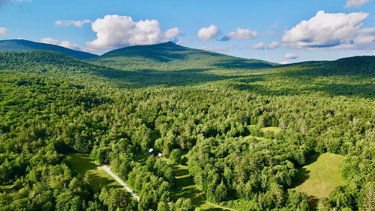 Aerial view of Tim Stout's tree-filled property in Vermont.
