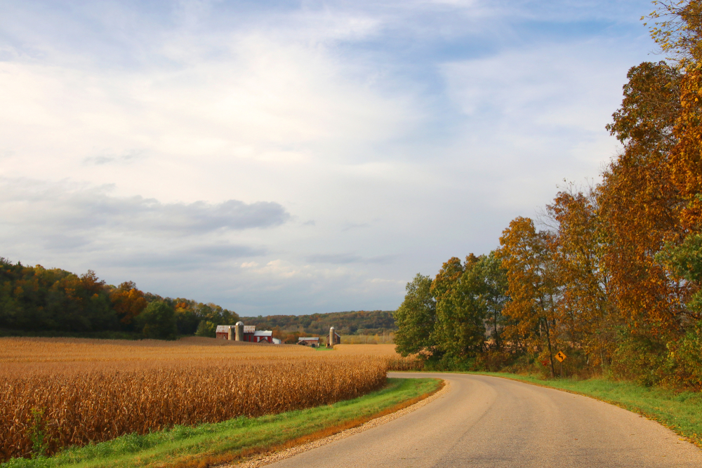 A rural road, autumn trees and farmland leading to a farm.