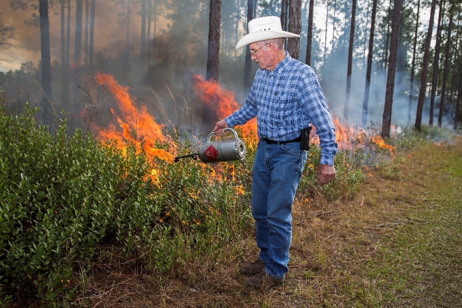 A person tending to a prescribed fire in a forest.