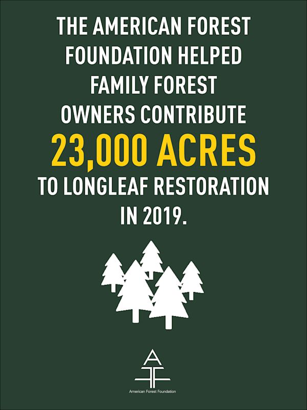 AFF longleaf accomplishments