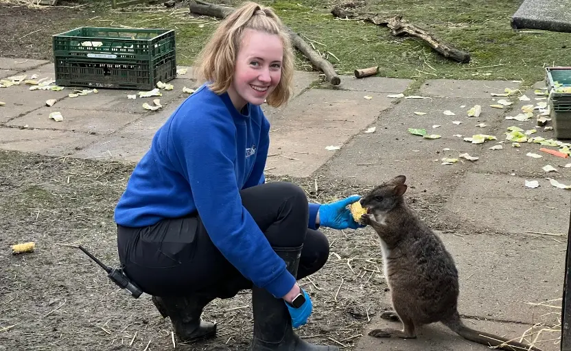 A young zookeeper, Emily, kneeling down and feeding a small, furry marsupial while smiling at the camera.