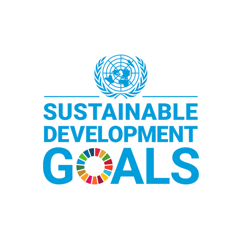 UN SDG - About us