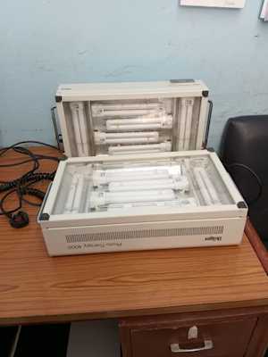 IMG-20250821-WA0013