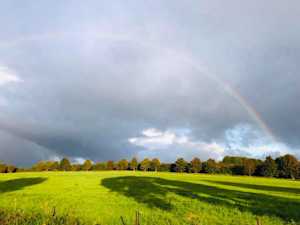 FB IMG 1695369556978