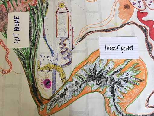 Hand drawing of organs with labels Gut Biome and Labour Power