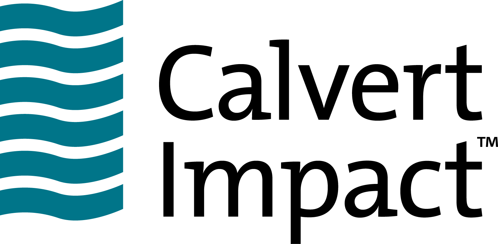 CI logo primary