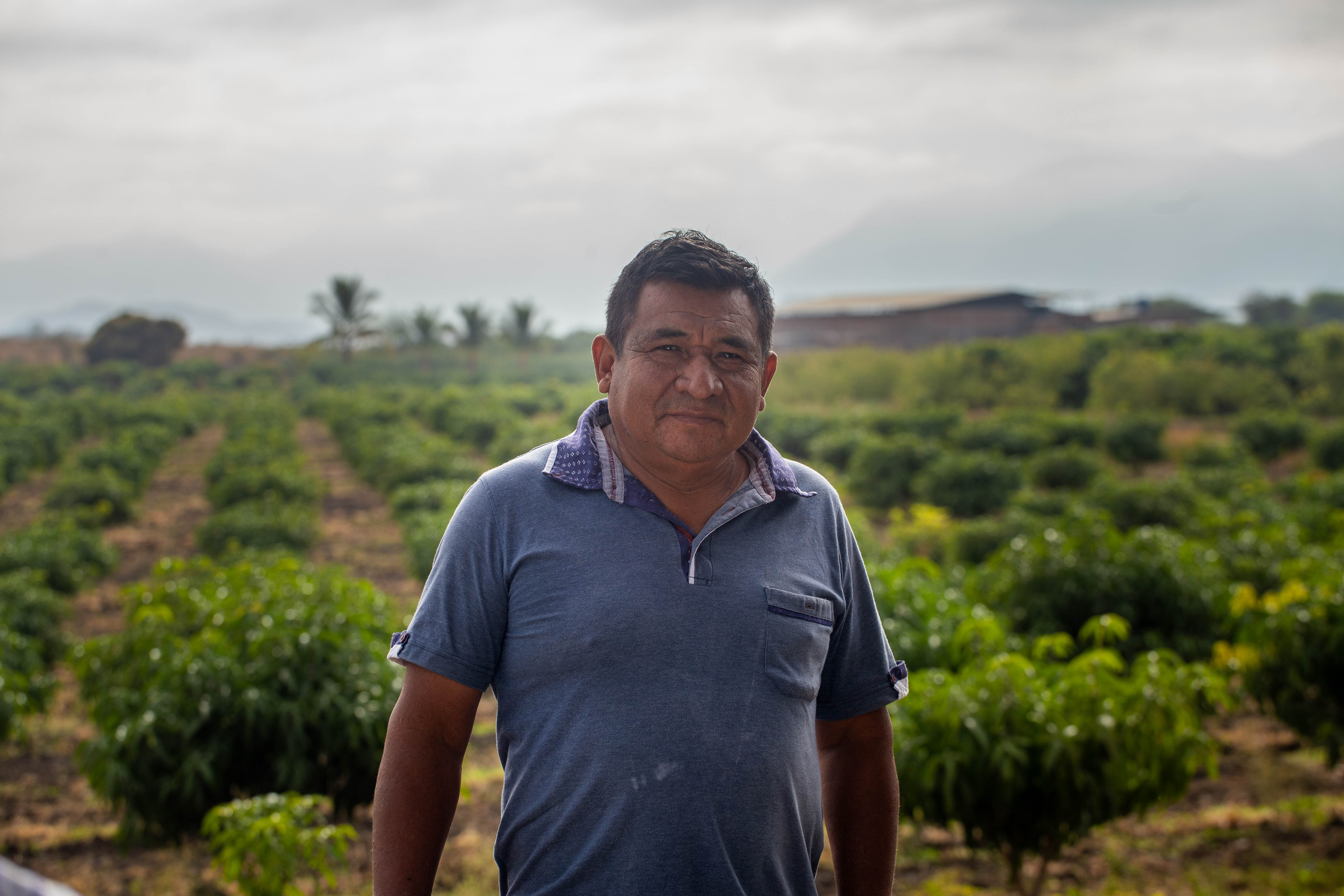 A Mango Farmer in Peru BOMF