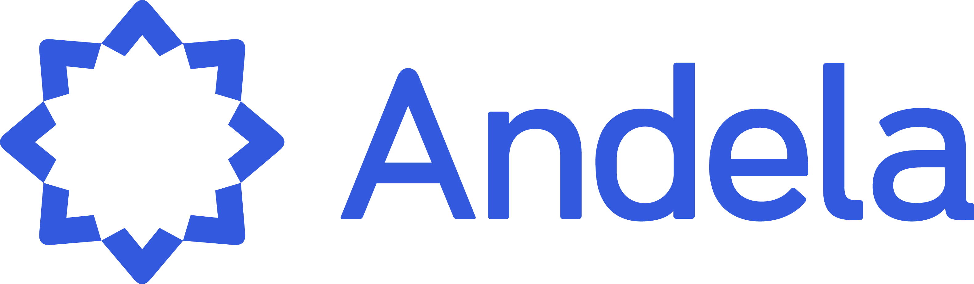 Andela-logo-landscape-blue
