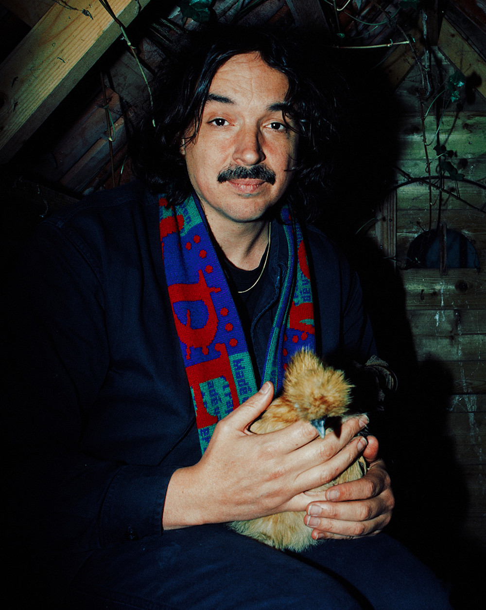 noel-foto