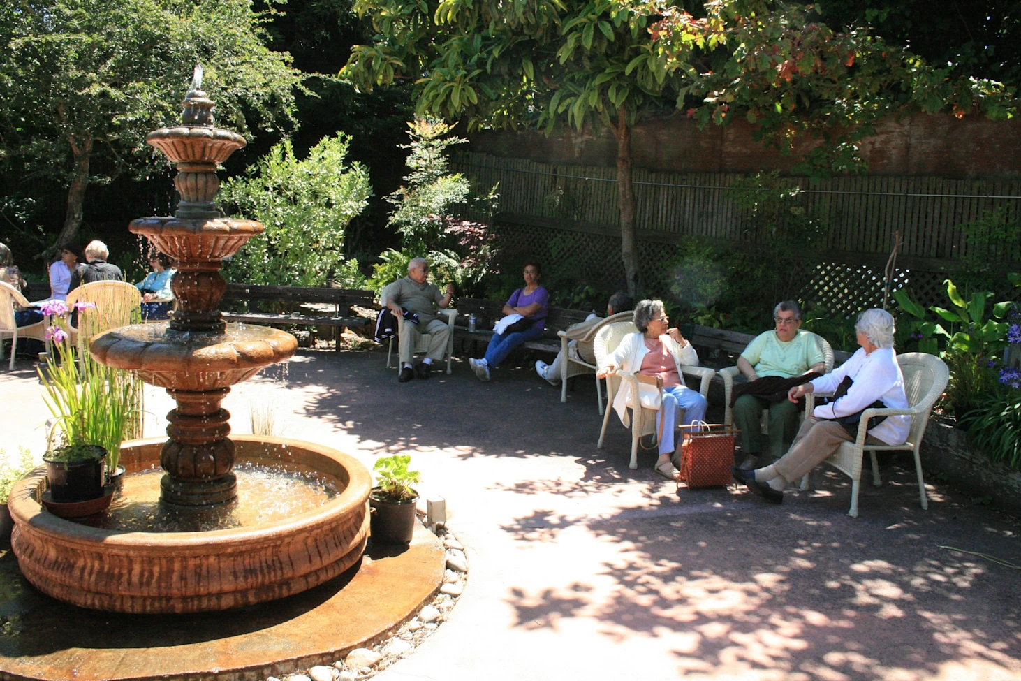 Seniors enjoying sunlight in the garden