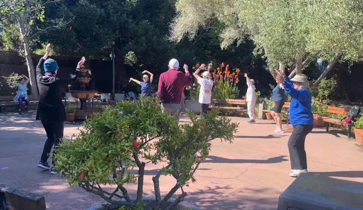 Always Active Video Thumbnail