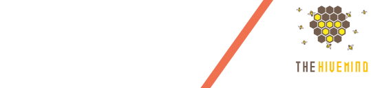 Brex and Partner
