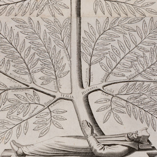 Ulrike Strasser wint de 2021 Book Award van de SSEMWG