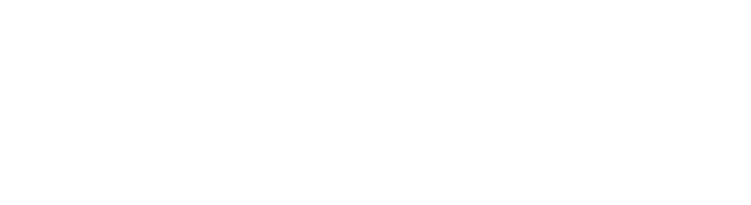 Visible Logo