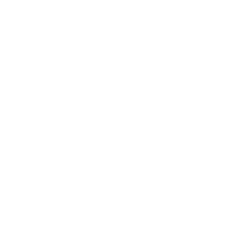 White Dell logo