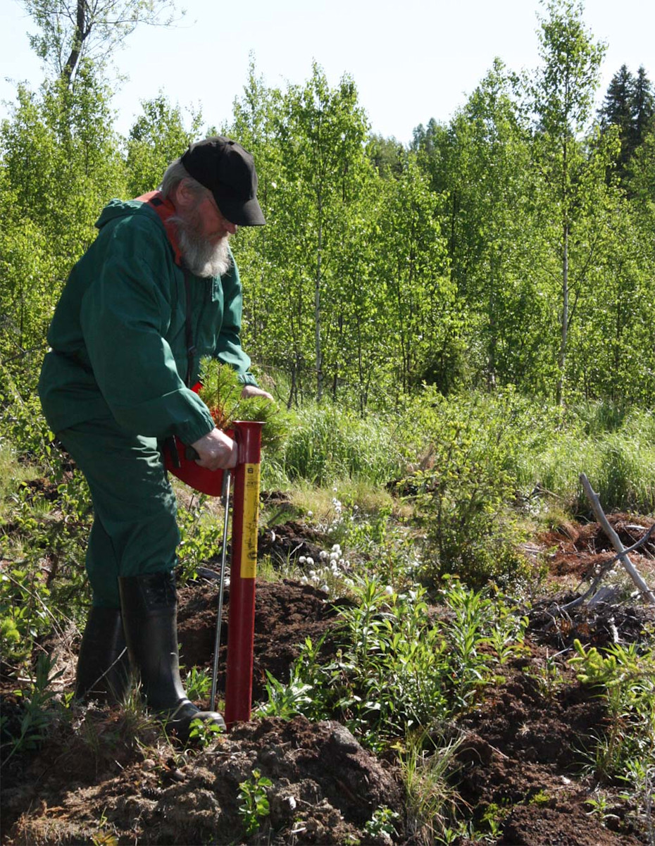 sustainability ilpo planting trees web