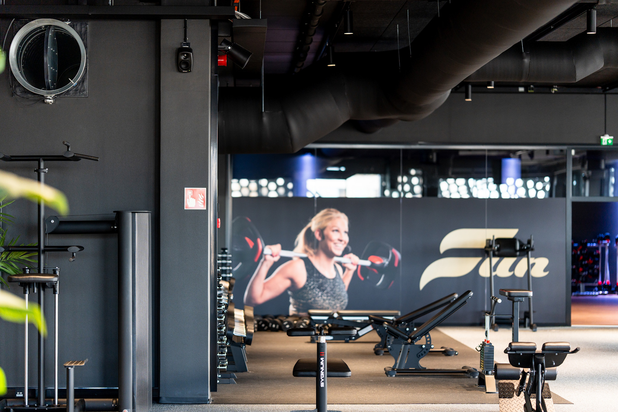 GRIP Action Sports Hub web 1