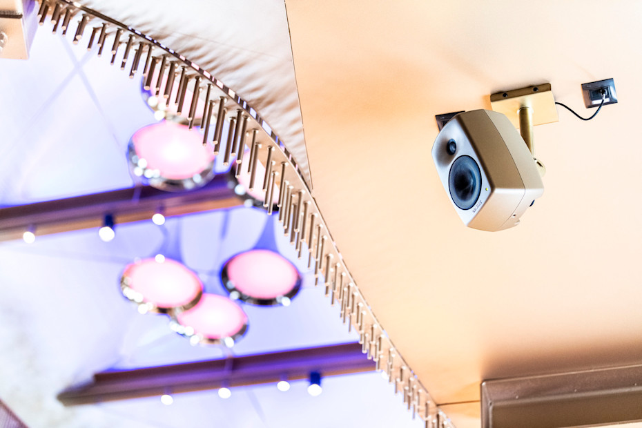 RAL Colour Loudspeaker - Queen Silvia Concerthall
