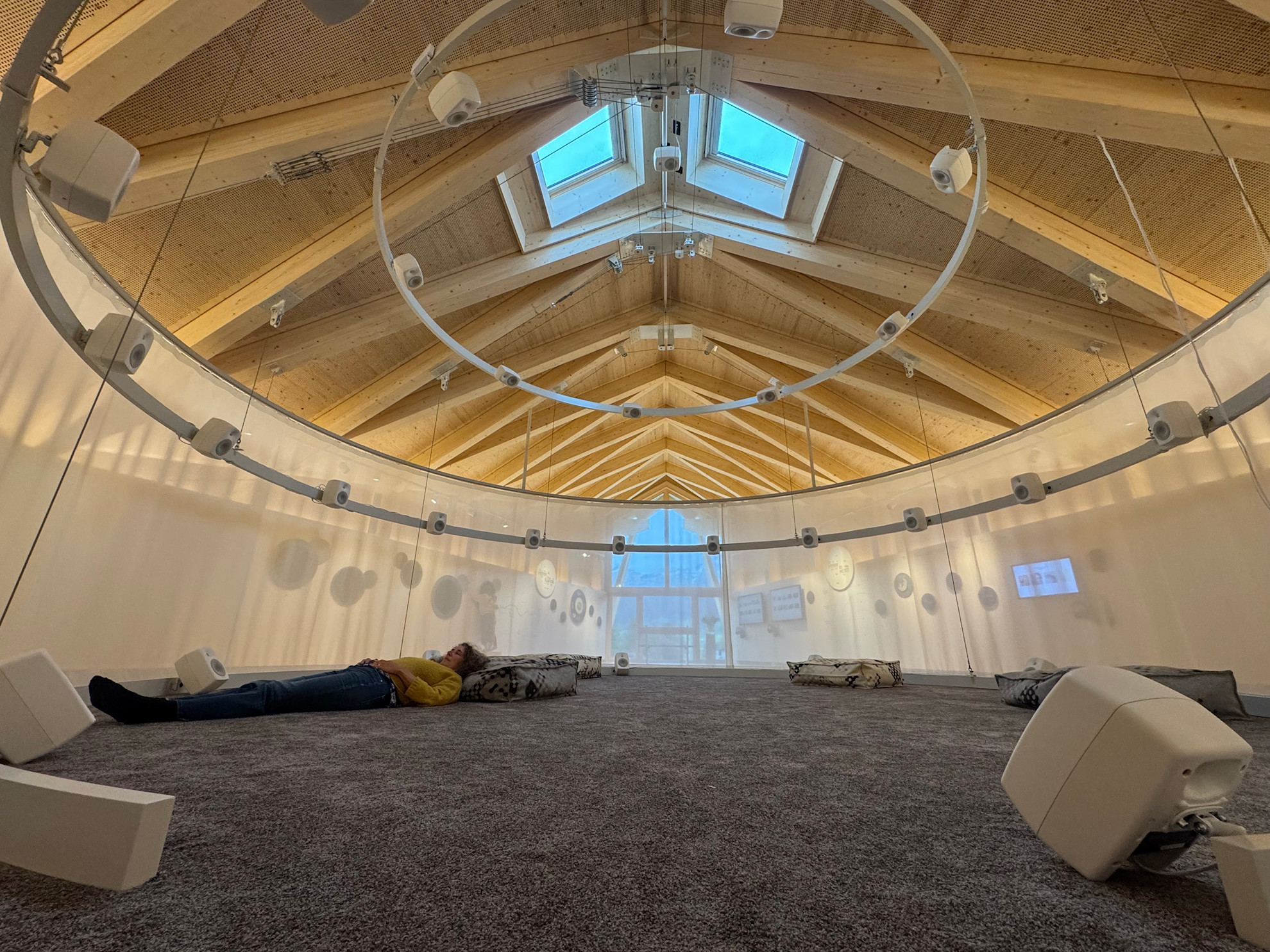 Peter Roth Rosonance Centre web image 1