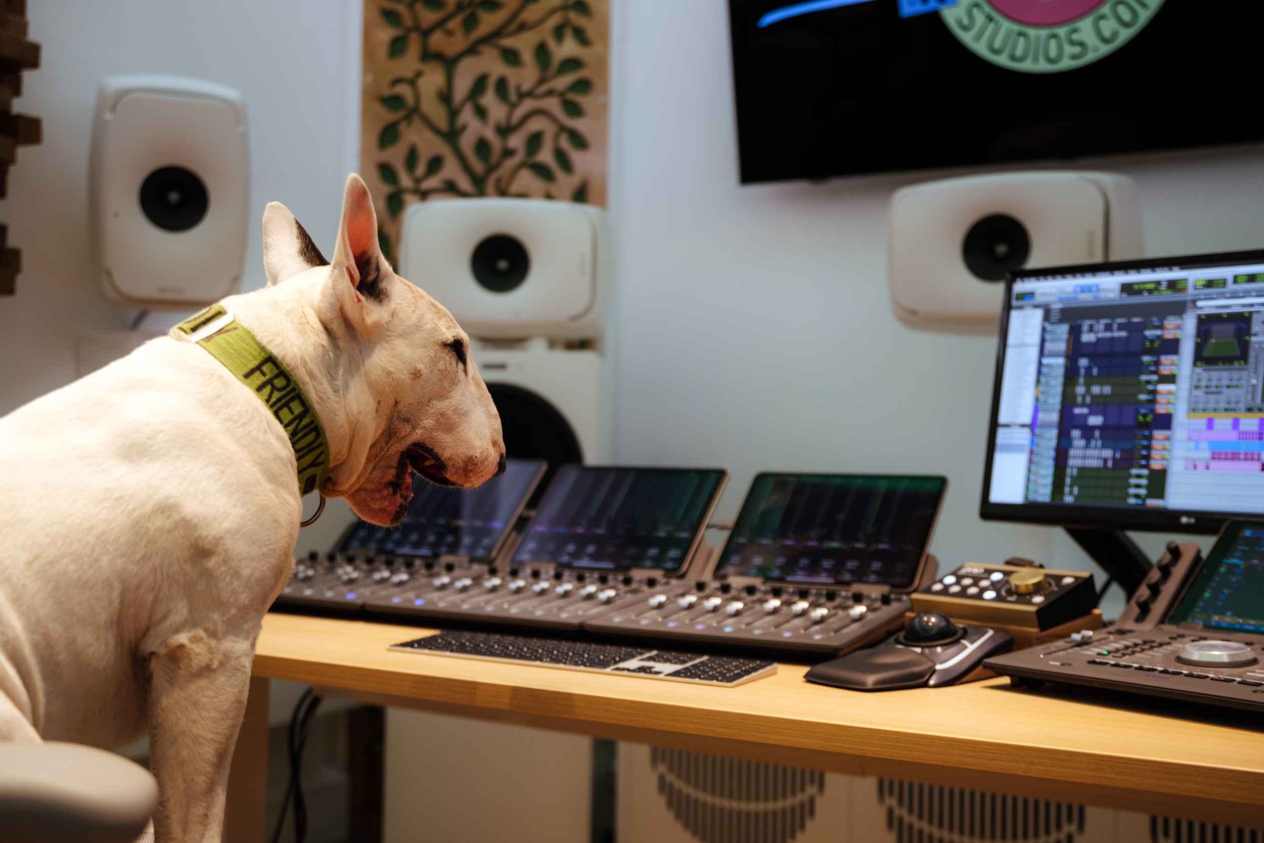 Gatwick Production Studios Herbie