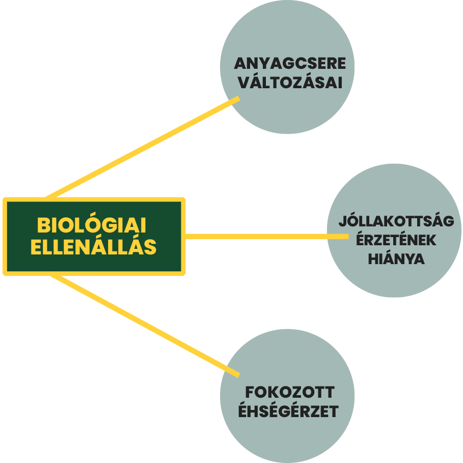 "Biológiai ellenállás" szó téglalapban összekötve 3 buborékkal, ahol ez olvasható: anyagcsere változásai, jóllakottság érzetének hiánya, fokozott éhségérzet