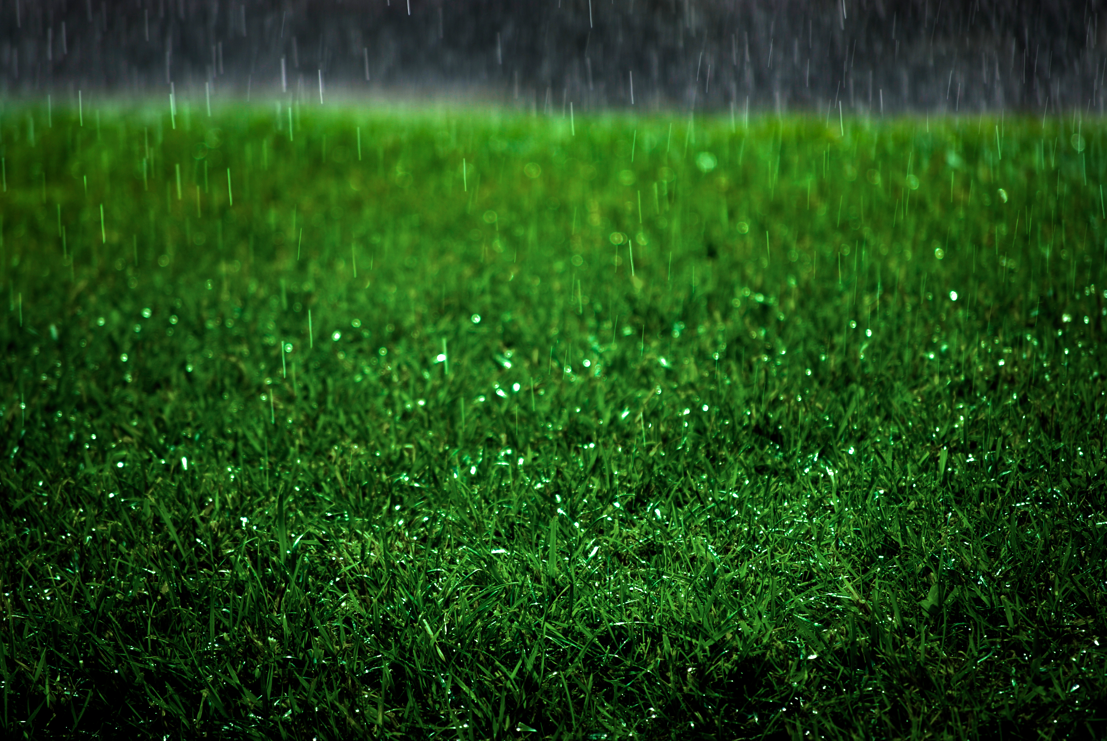 Raining on a lawn