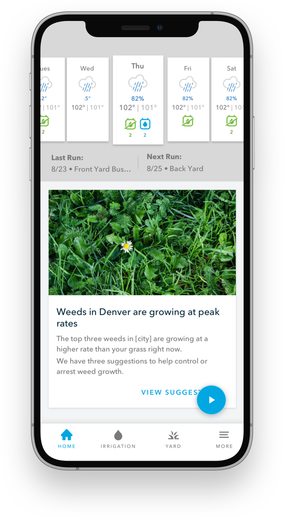 Person using Rachio mobile app in their yard