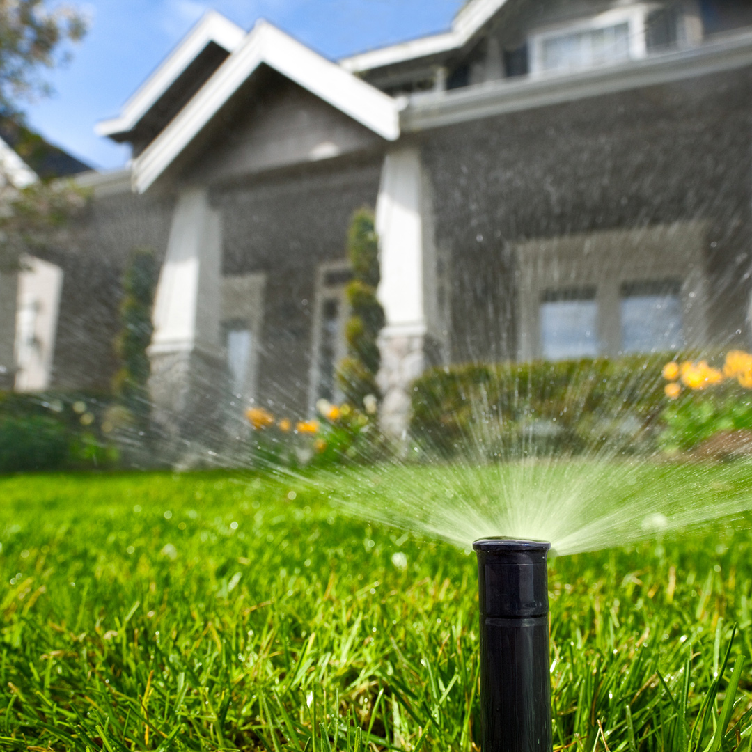 Sprinkler head
