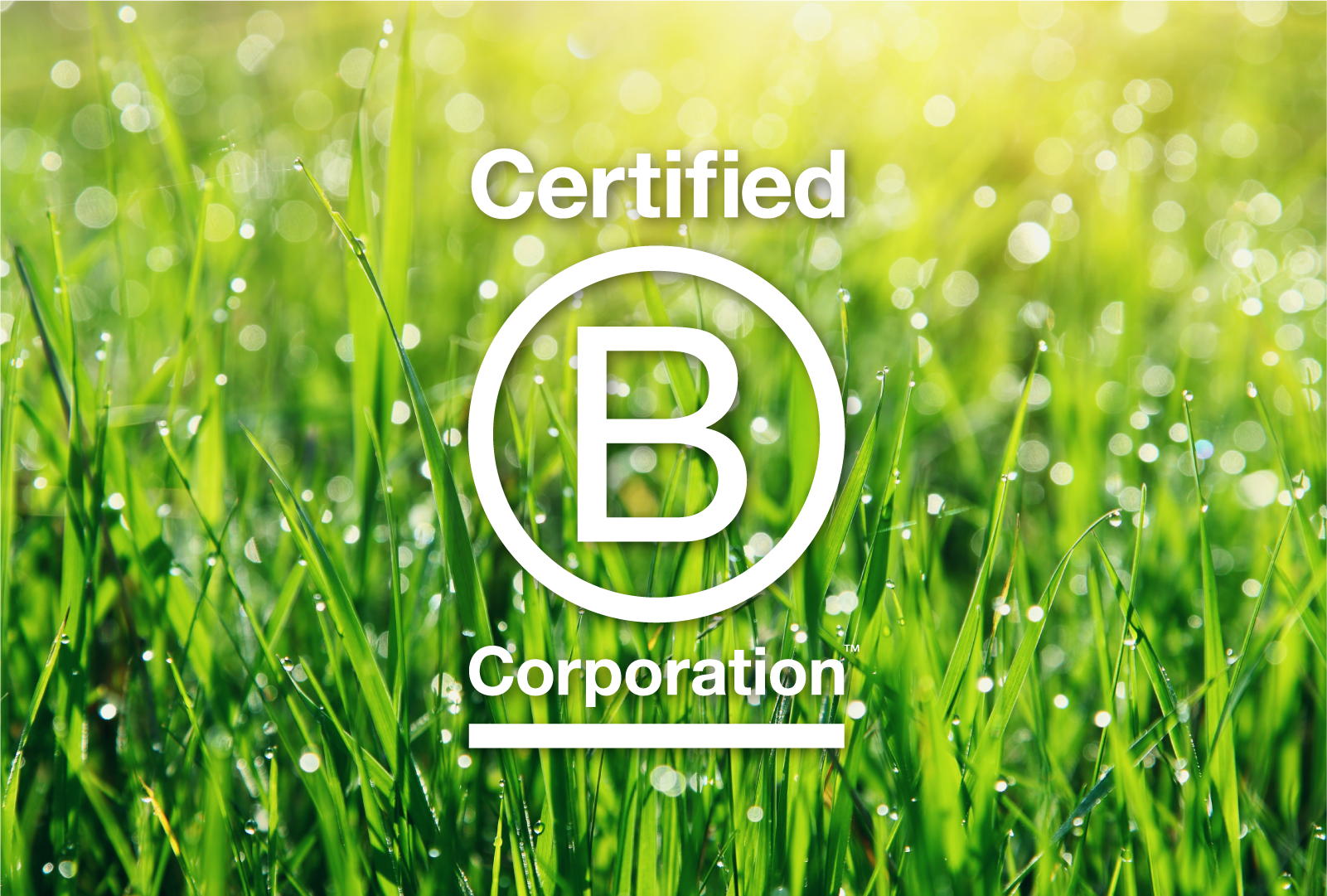 B-Corp logo