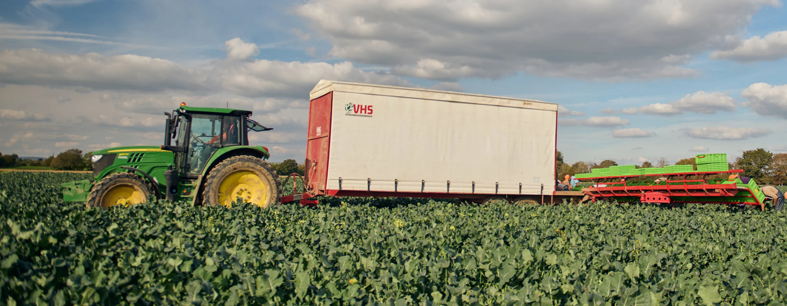 The journey of our veg