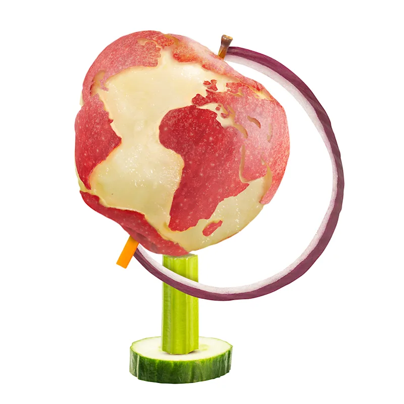 Sustainability